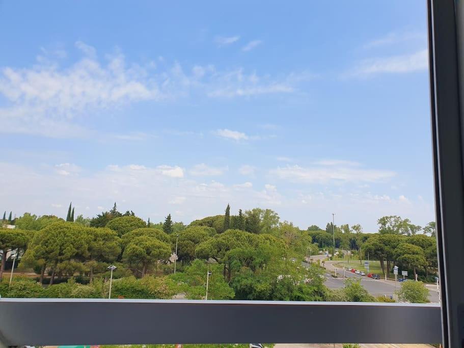 T2 Fidji Vue Port Et Mer Parking Clim Wifi - Rossiconciergerie - Linge En Option 拉格朗德默特 外观 照片